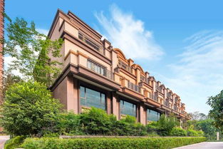 黄地产响应国家租赁住宅发展，坚定看好经济前景与房地产开发