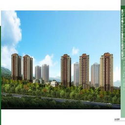 重庆市房地产开发网项目详情查看 智慧与规范并行的时代